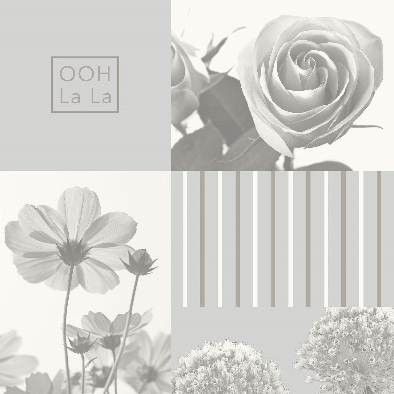 1280x1280 Coco Silver Grey Flower Collage Wallpaper by Crown Wallcoverings M1343, Phone