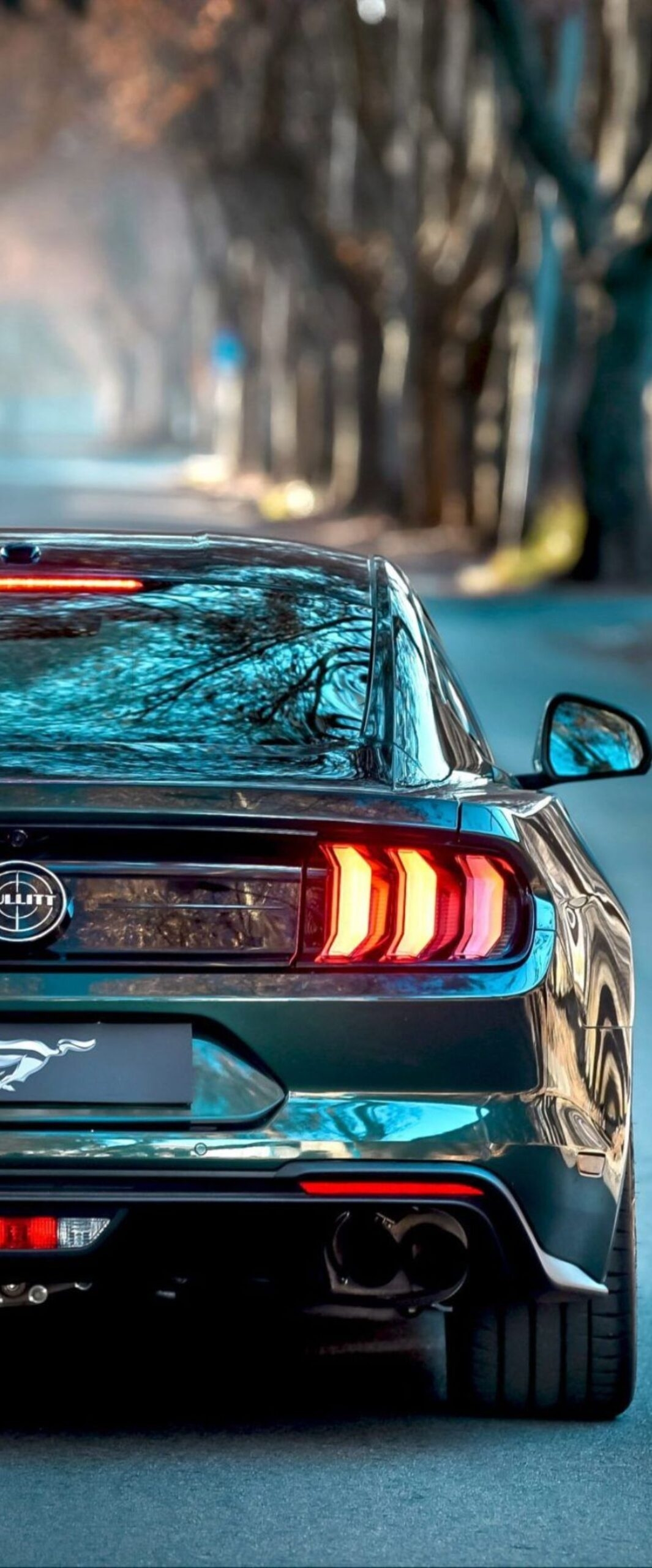 1070x2560 Ford Mustang iPhone Wallpaper 4k, Phone