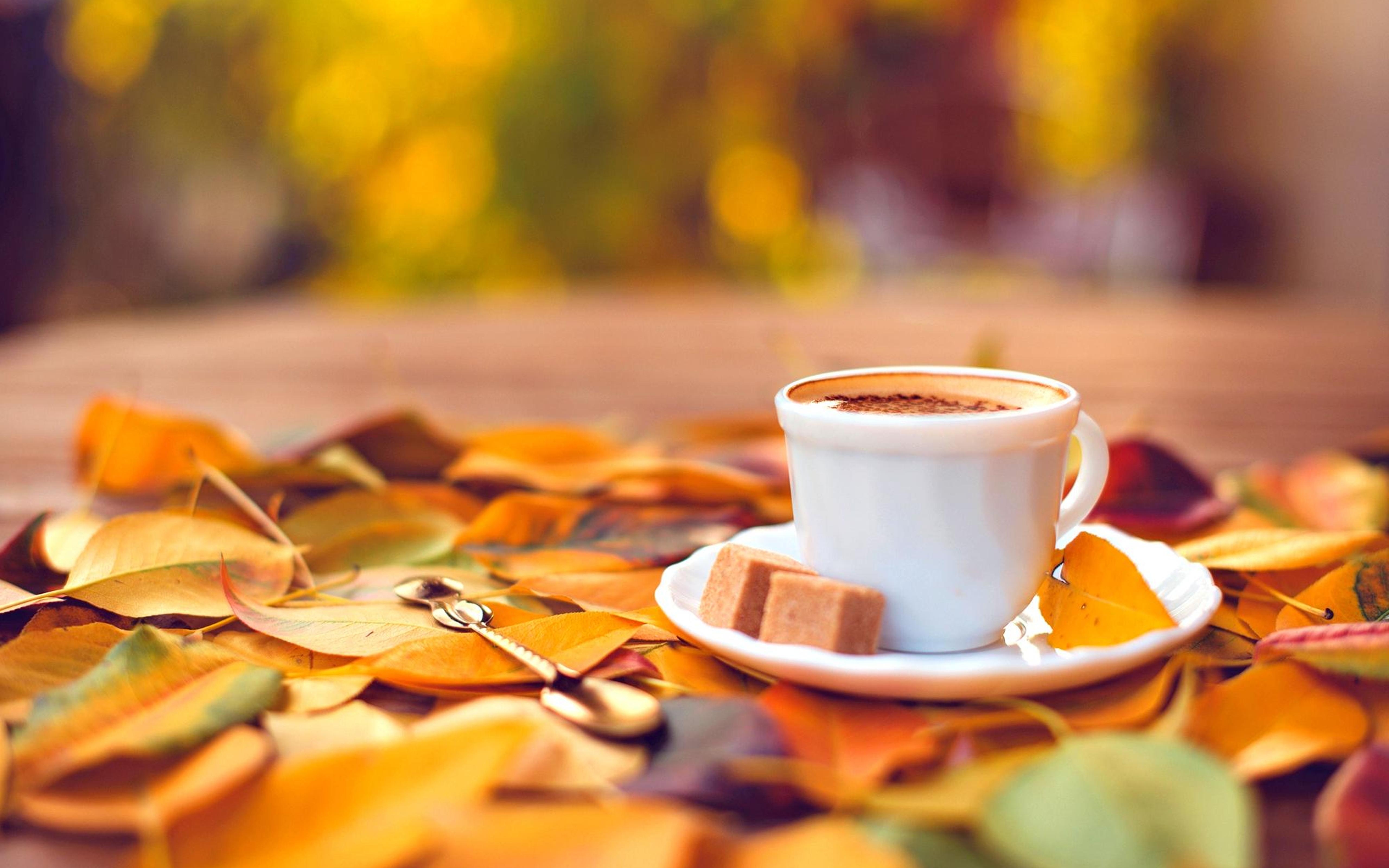 5120x3200 Sweet coffee and an autumn carpet, Desktop