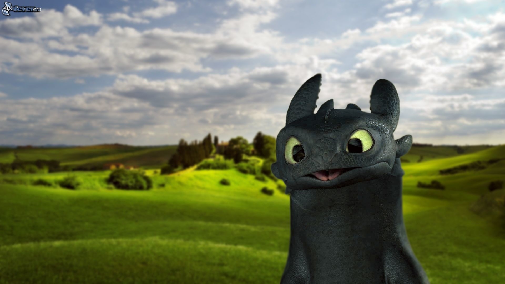 1920x1080 Toothless Dragon Wallpaper Cute, Desktop