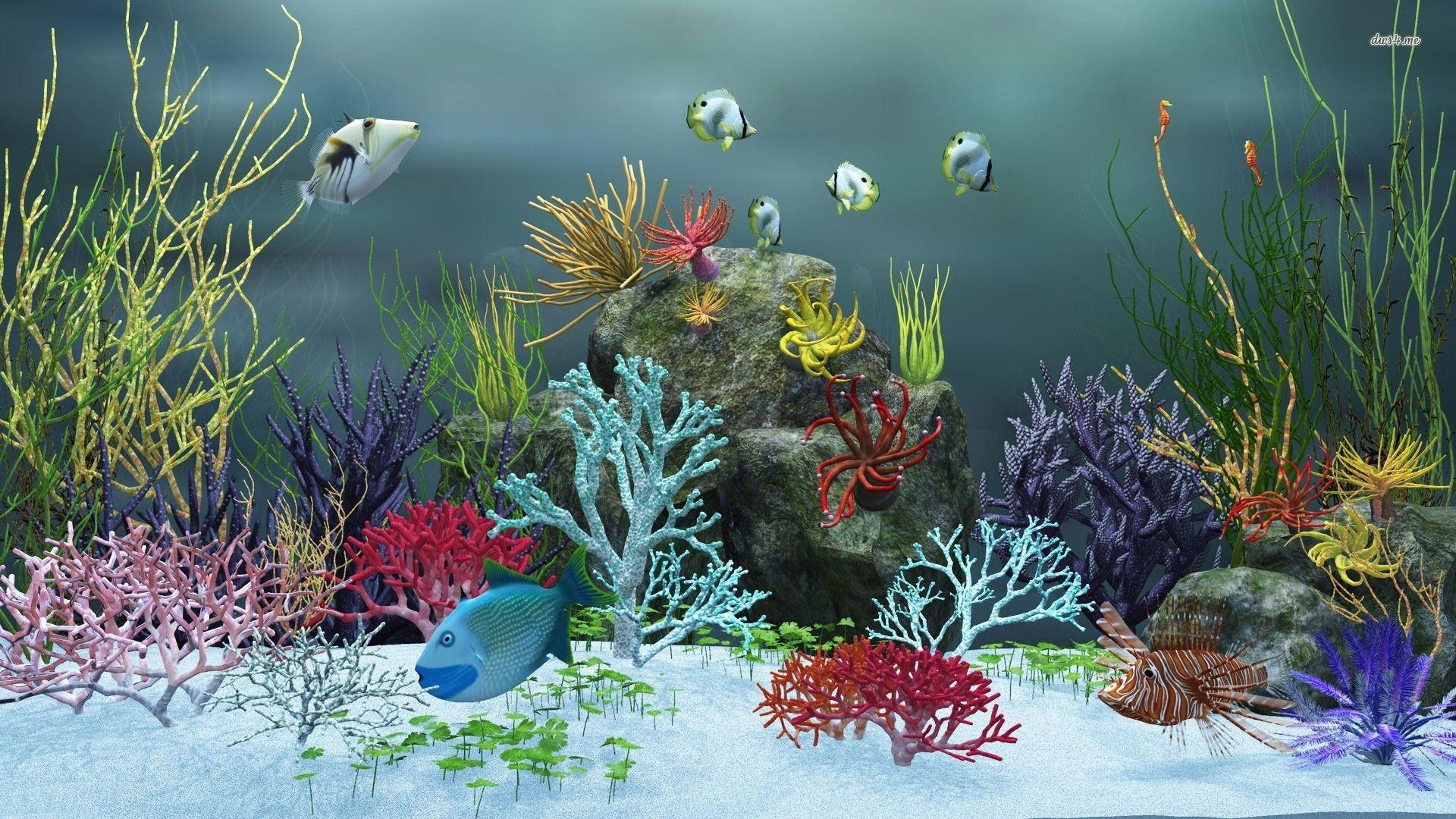 1920x1080 Moving Aquarium Wallpaper, Desktop