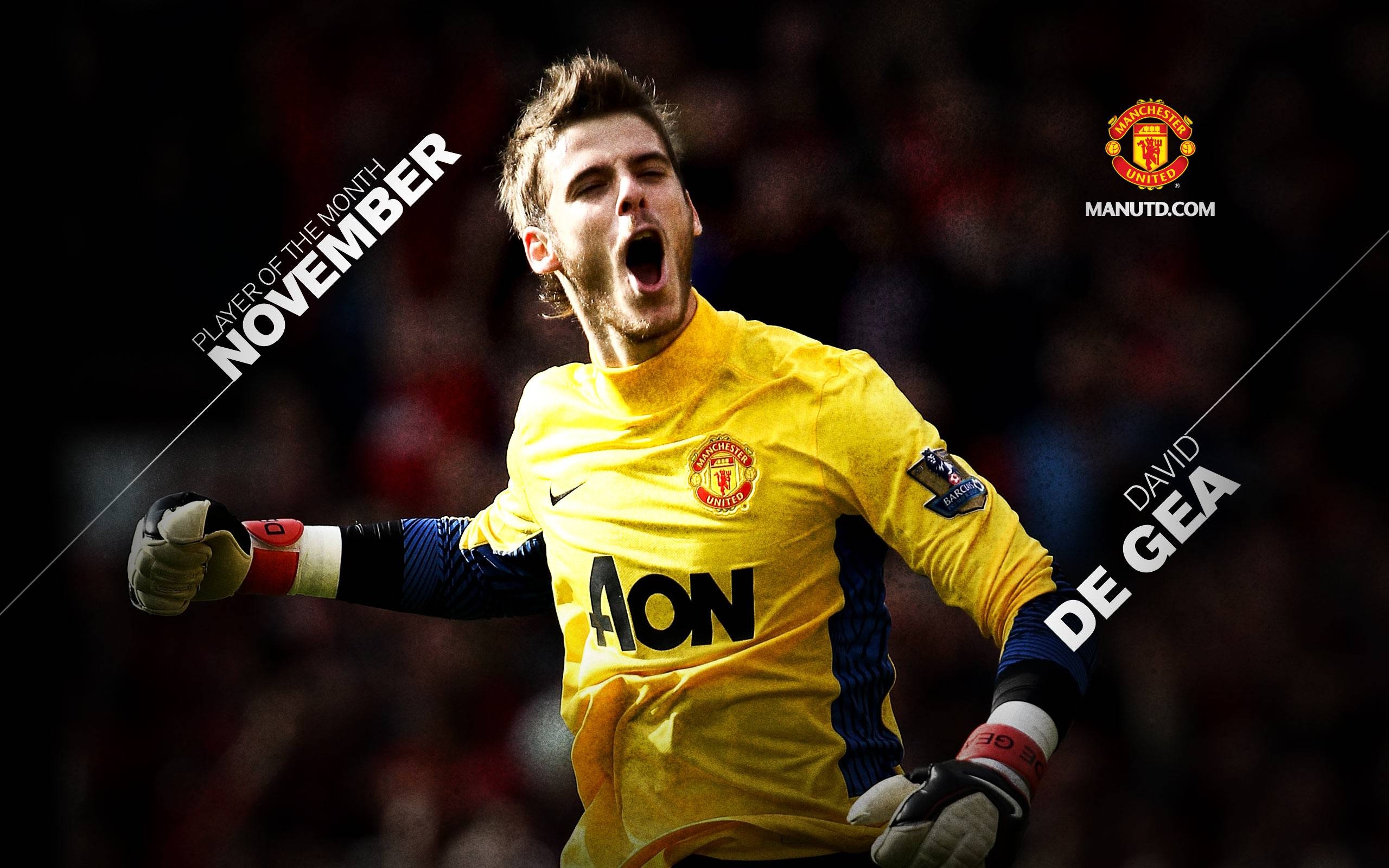 2560x1600 David De Gea Celebration Wallpaper HD Wallpaper, Desktop