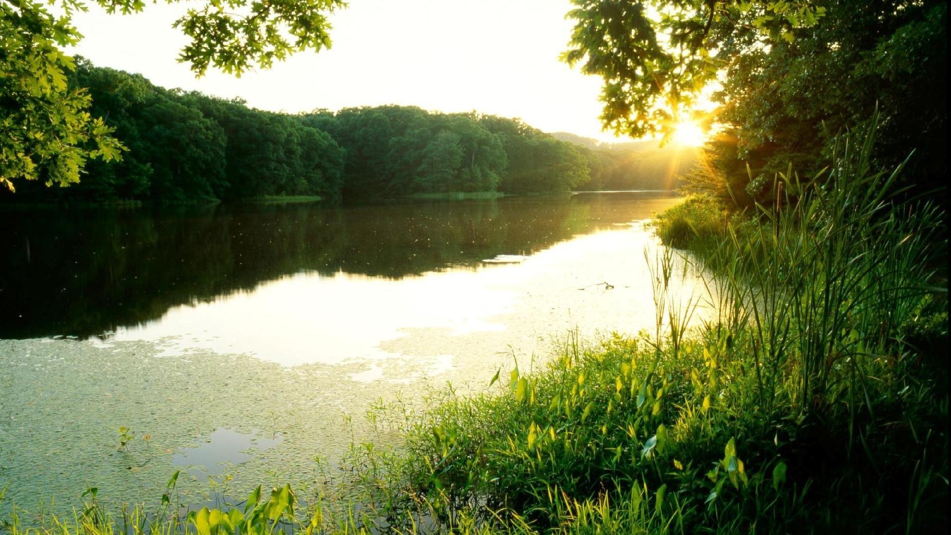 1920x1080 Jones, catalog, screen, wallpaper, indiana, forest, lake, sunset, Desktop