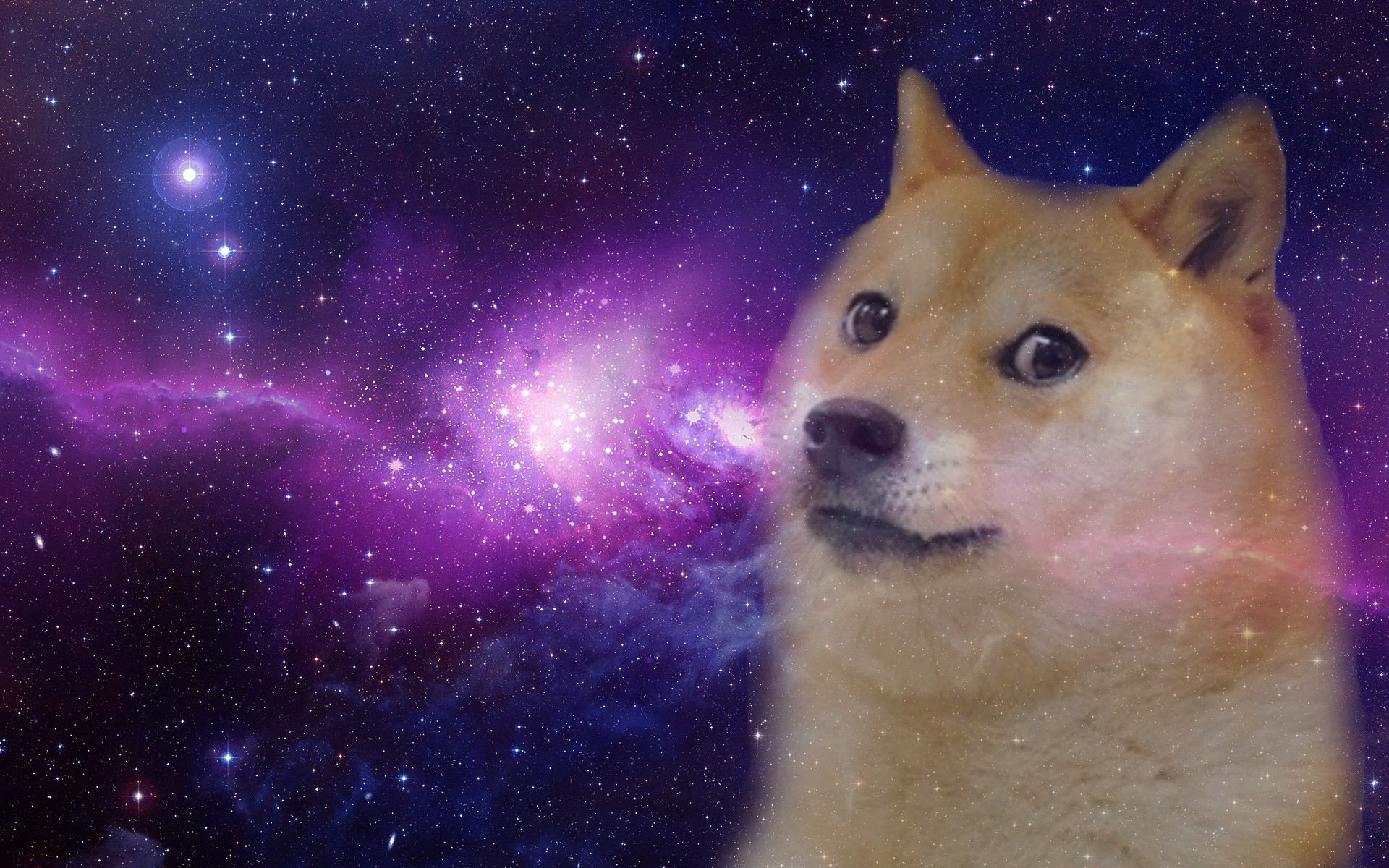 1920x1200 SO DOGE, MUCH EPIC WALLPAPER DUMP! :doge, Desktop