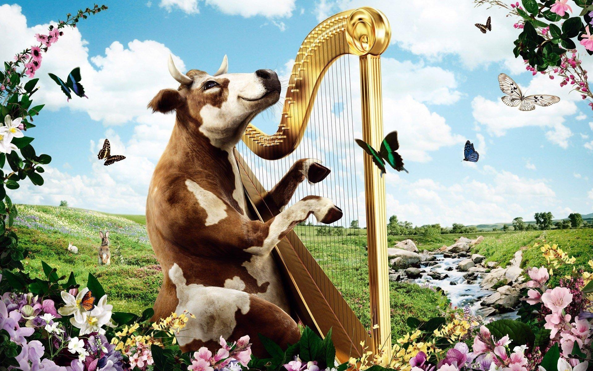 1920x1200 harp cow nature HD wallpaper, Desktop