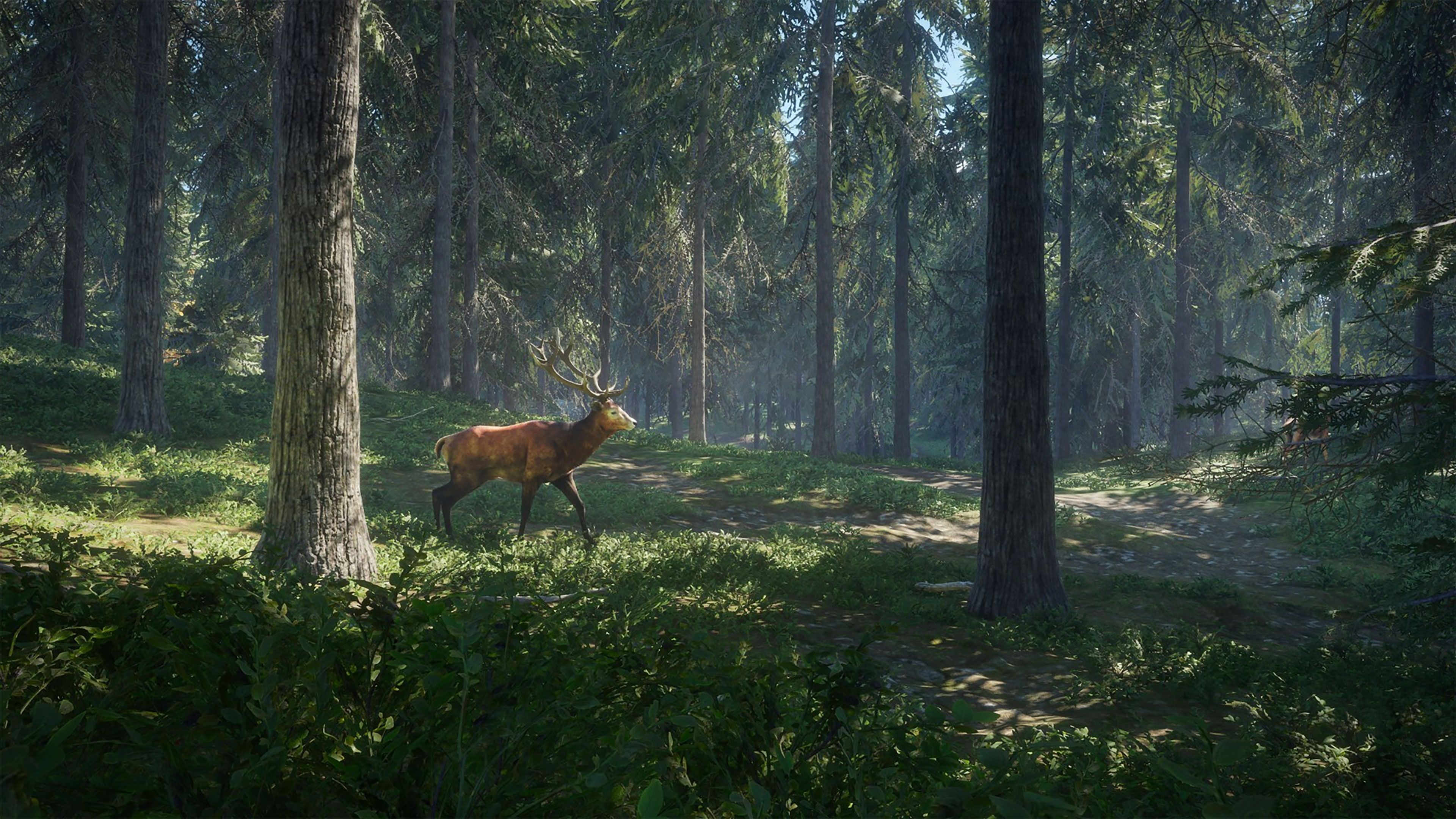 3840x2160 TheHunter- Call of the Wild Wallpaper in Ultra HDK, Desktop