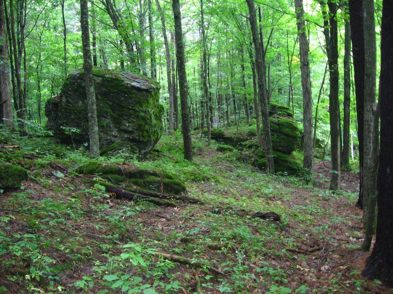 1620x1220 Hole 11 • Joralemon Park (Coeymans, NY). Disc Golf Courses. Disc, Desktop