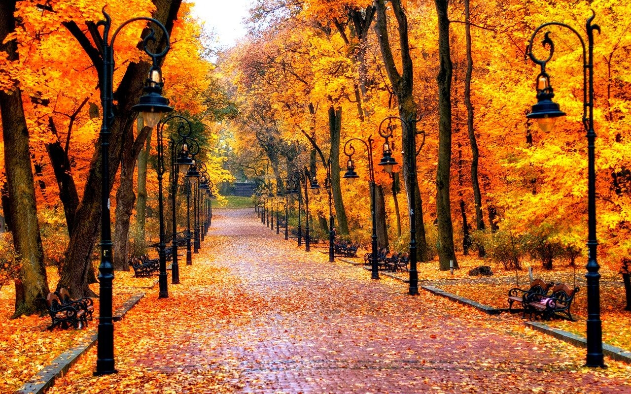 1280x800 Pretty Autumn Season Nature Wallpaper Background, Desktop