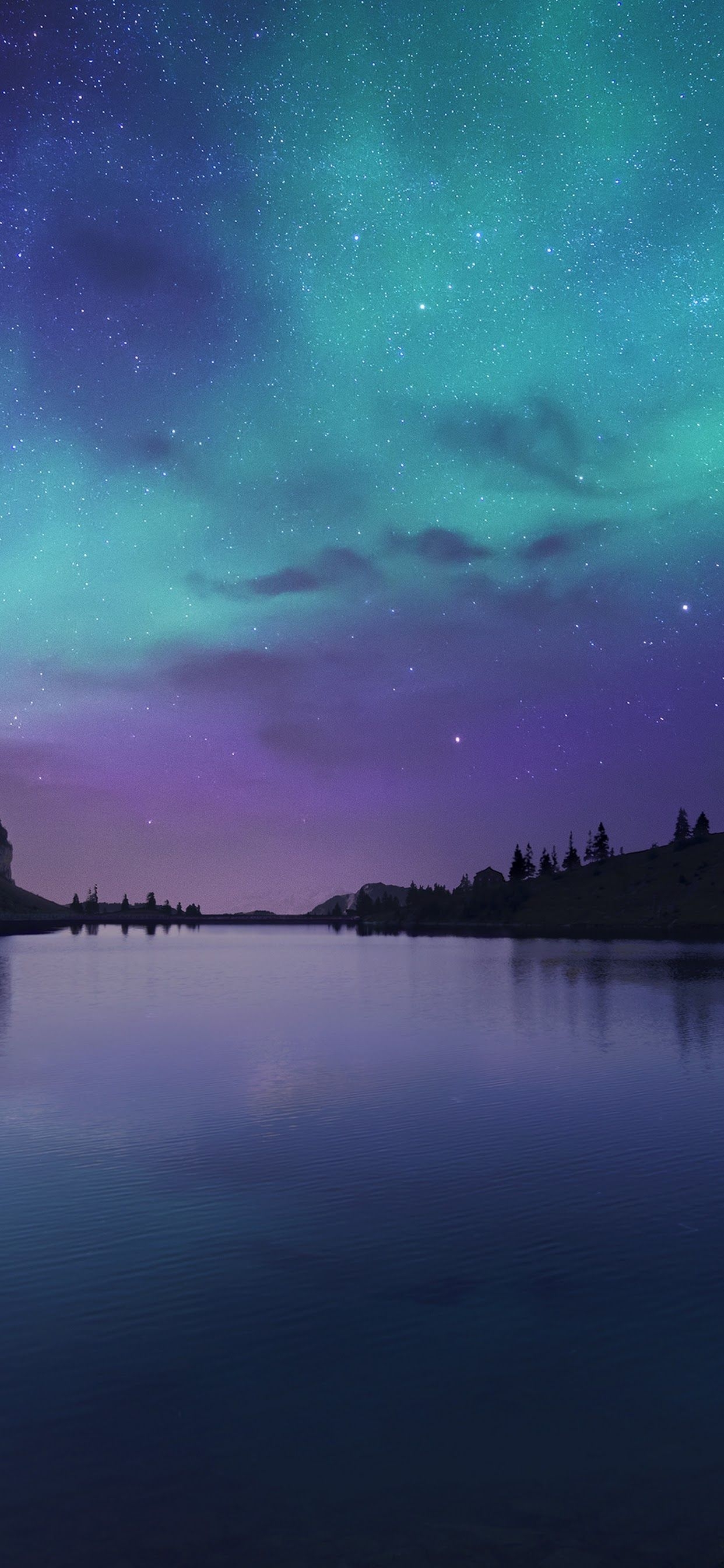 1250x2690 Aurora Borealis Night Sky Stars Lake Nature Scenery 4K Wallpaper, Phone