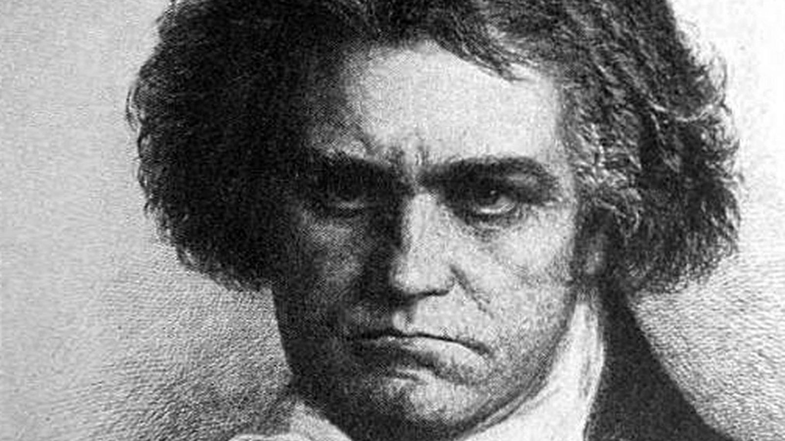 1600x900 2560x1920px Beethoven Wallpaper, Desktop