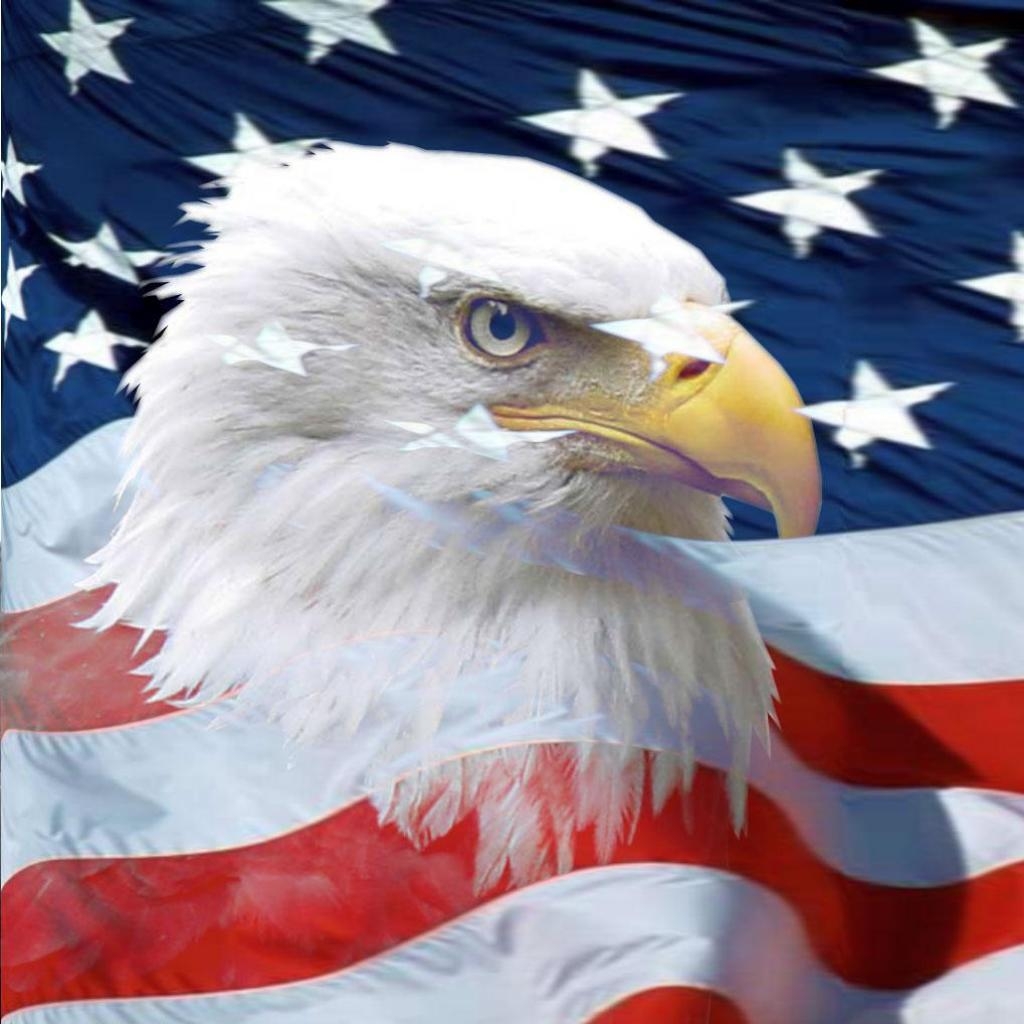 1030x1030 American Eagle Tablet wallpaper and background, Phone