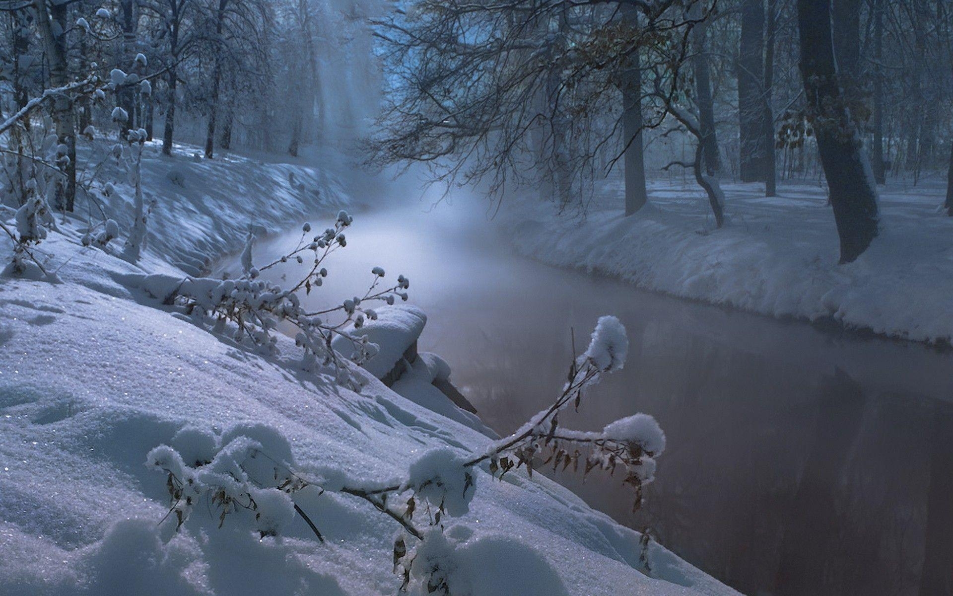 1920x1200 Free Winter Night Wallpaper at Landscape Monodomo, Desktop