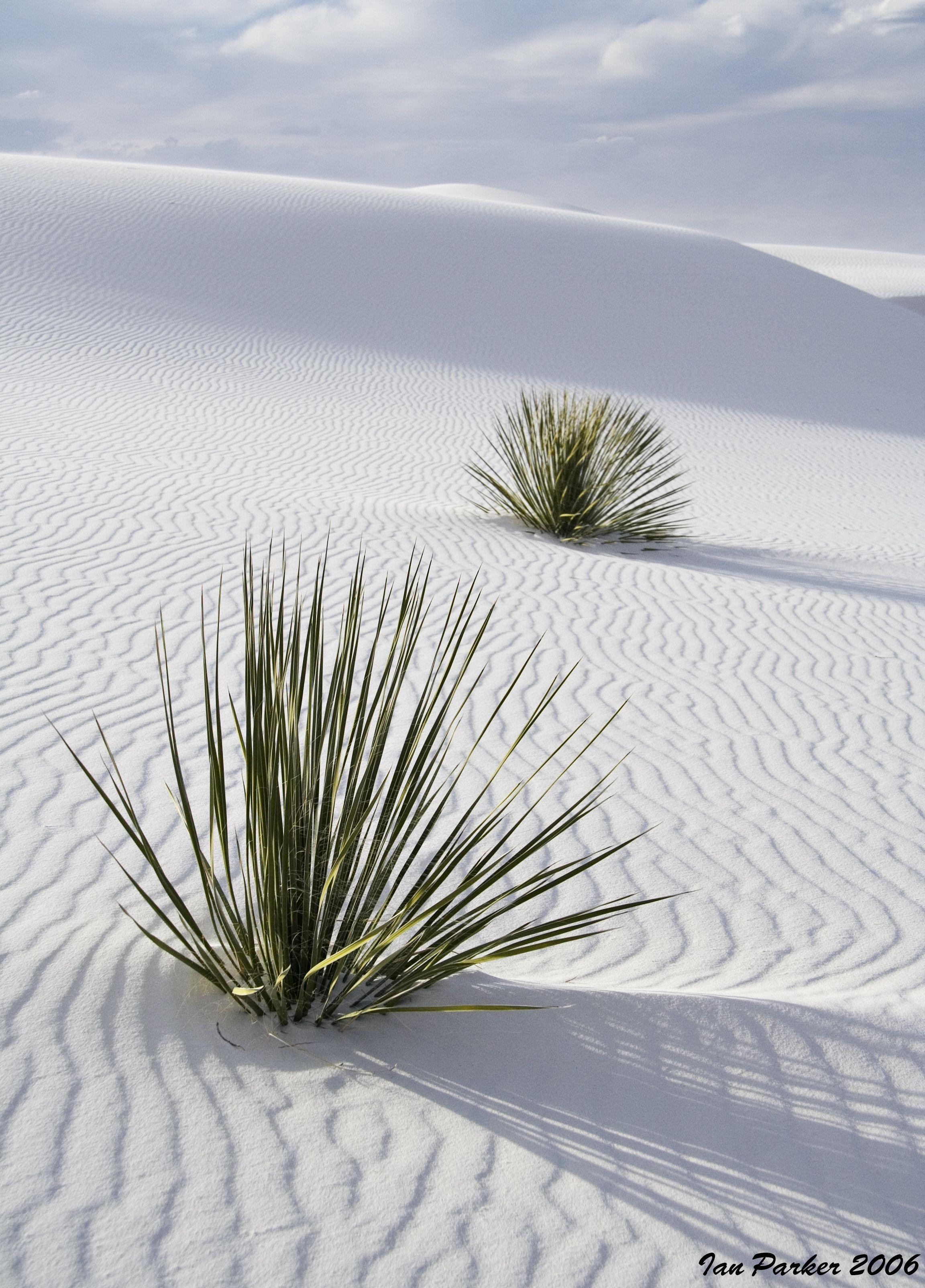 2310x3210 White Sands National Monument, New Mexico.oh this is one fun, Phone