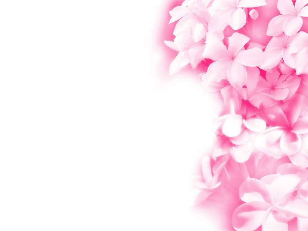 1030x770 Pink Wallpaper HD Background, Desktop