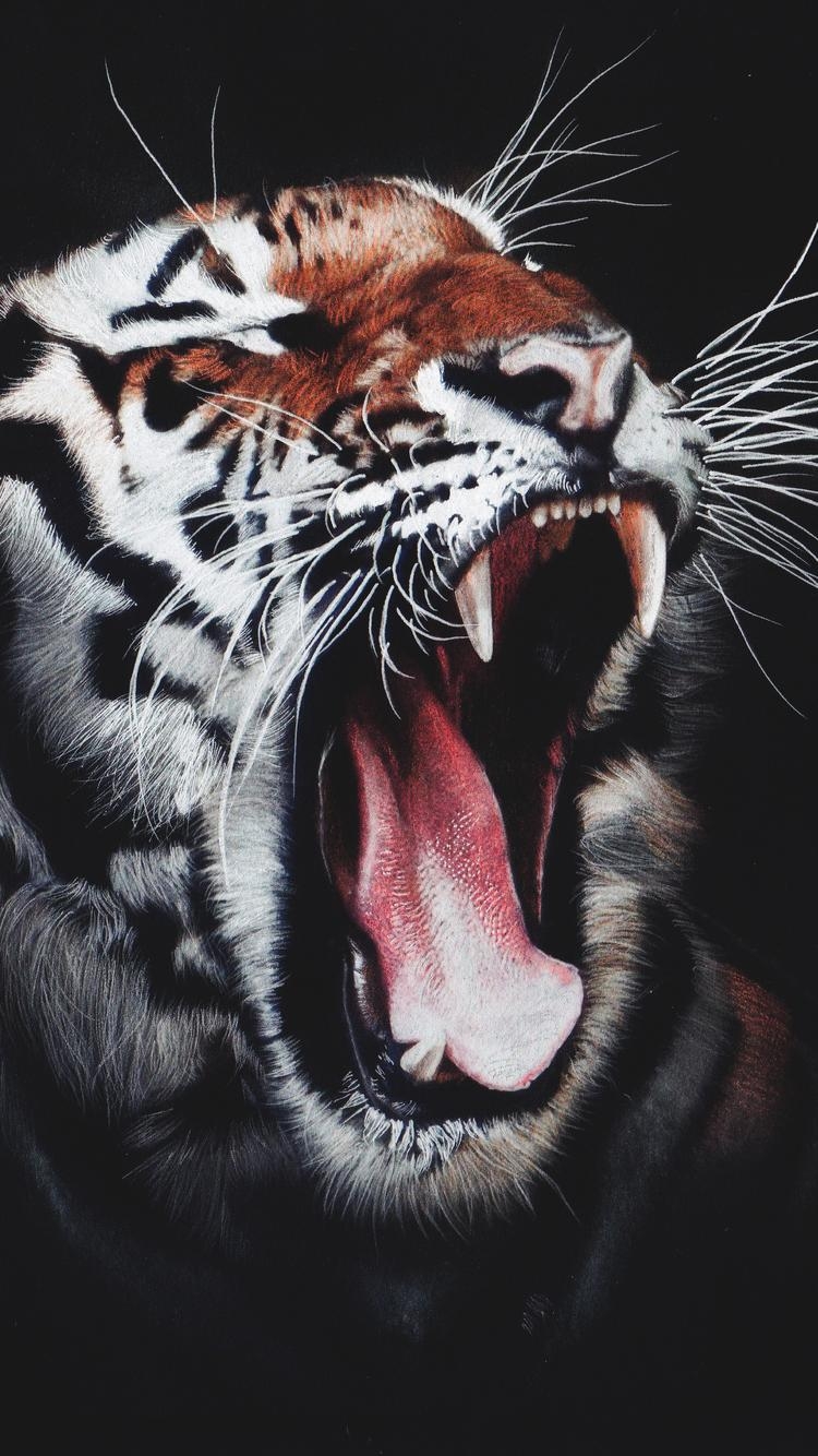 750x1340 Tiger Roar iPhone iPhone 6S, iPhone 7 HD 4k, Phone