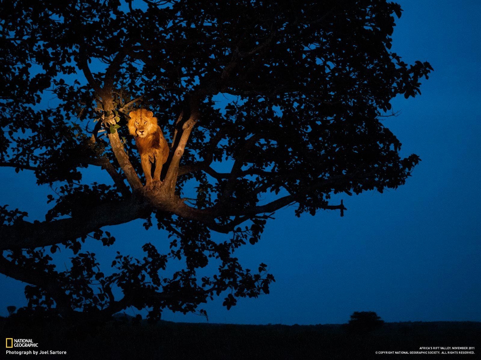 1600x1200 Africa's Albertine Rift Gallery, More From, Desktop