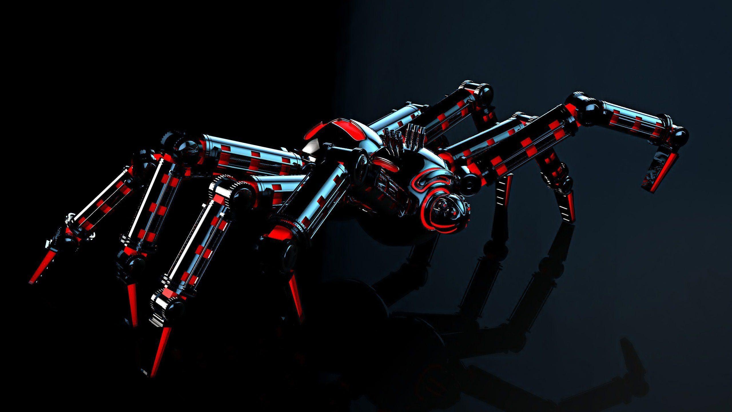 2560x1440 Black Widow Spider HD, Desktop