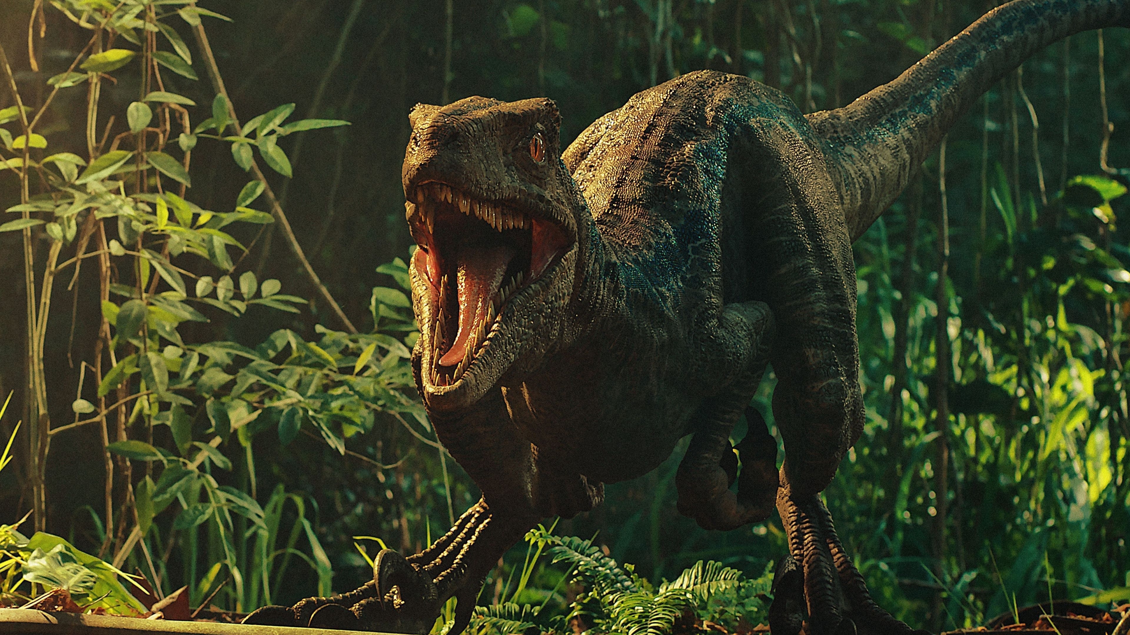 3840x2160 Jurassic World 4K Wallpaper Free Jurassic World 4K Background - Jurassic world wallpaper, Jurassic world fallen kingdom, Jurassic world, Desktop