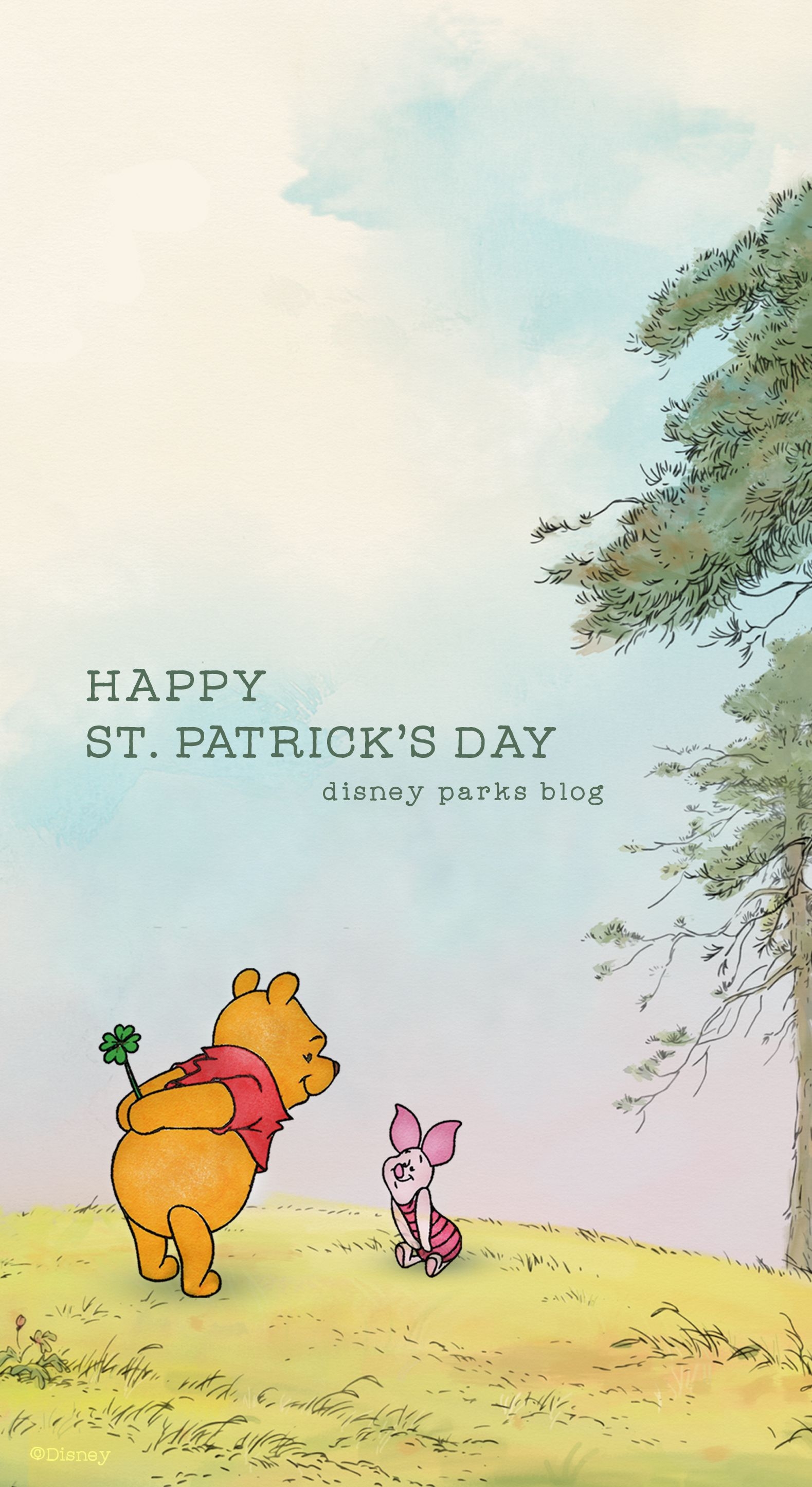 1580x2890 St. Patrick's Day Wallpaper, Phone