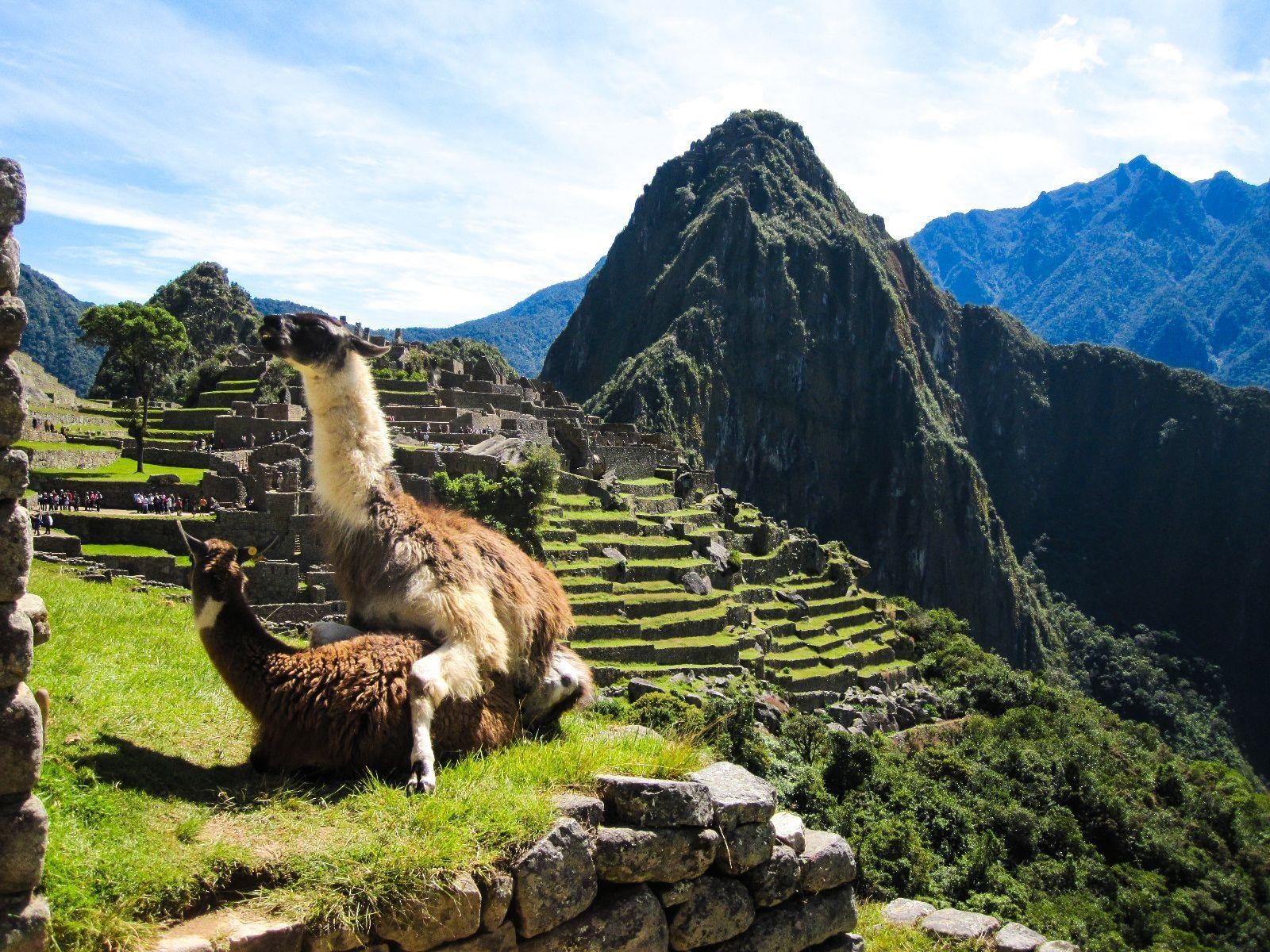 1600x1200 I was browsing the web for Machu Picchu wallpaper when suddenly, Desktop