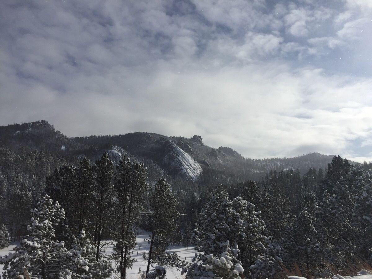 1200x900 Snow covered Black Hills South Dakota (oc) [1334x750], Desktop