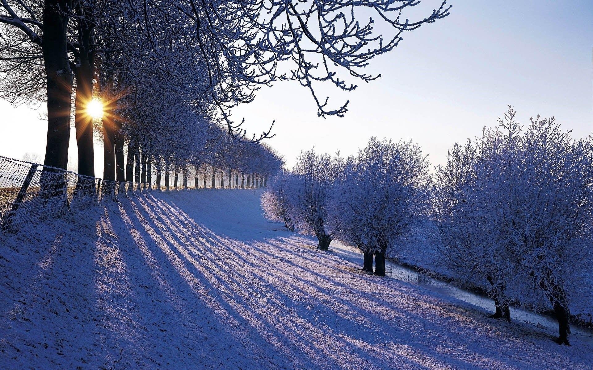 1920x1200 Beautiful Winter Wallpaper Free Beautiful Winter Background, Desktop