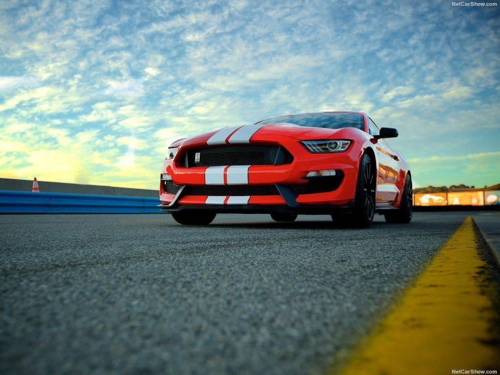 1030x770 Shelby Mustang GT350 image Ford Mustang Shelby GT350 2016 Red HD, Desktop