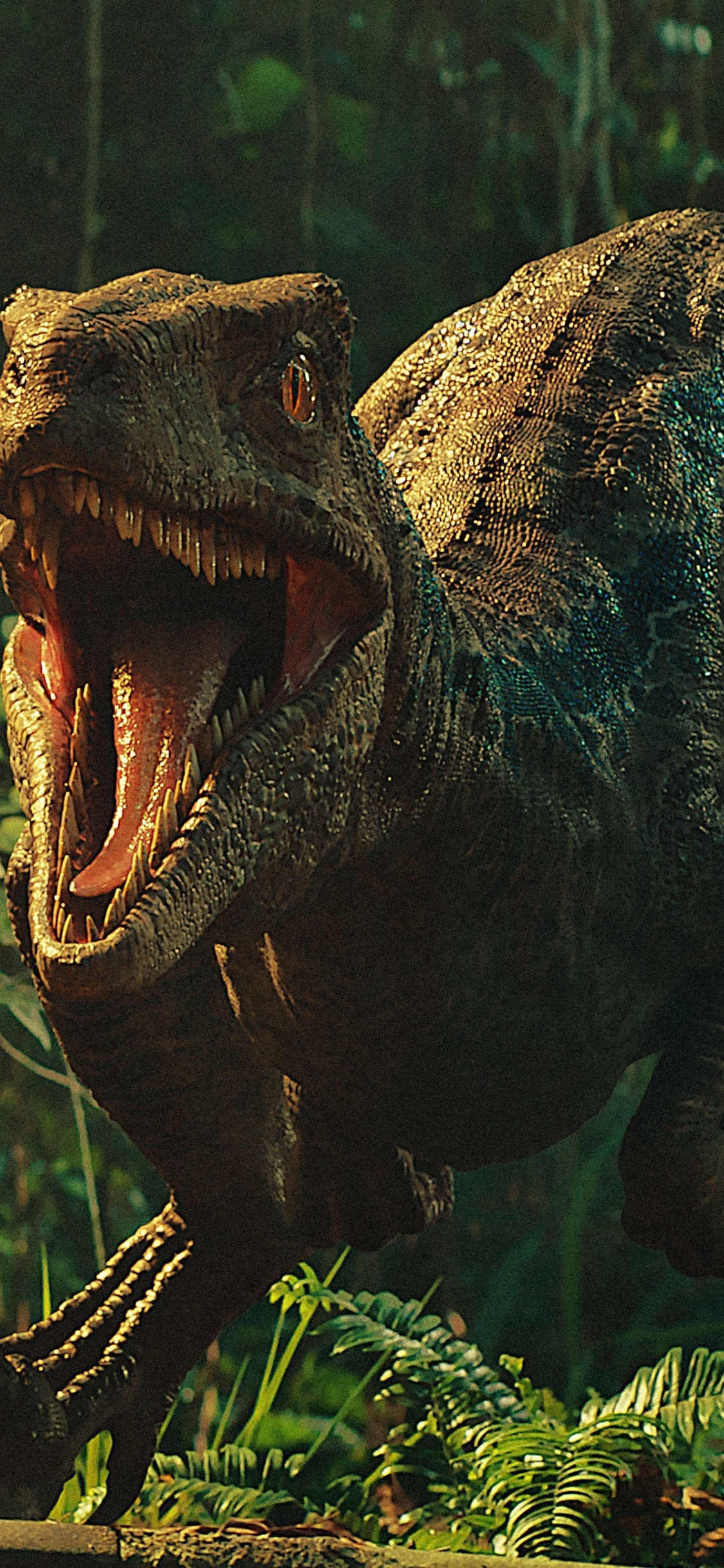 1130x2440 Download wallpaper  movie, jurassic world: fallen kingdom, dinosaur, iphone x,  HD background, 9313, Phone