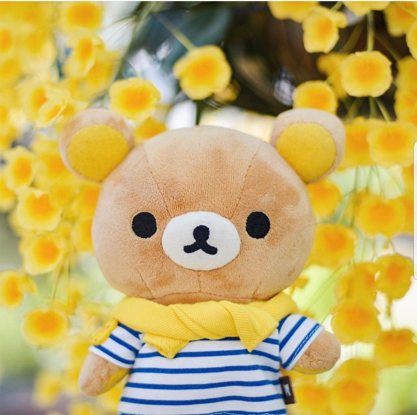 1440x1440 Cute plush, Cute stuffed animals.com, Desktop