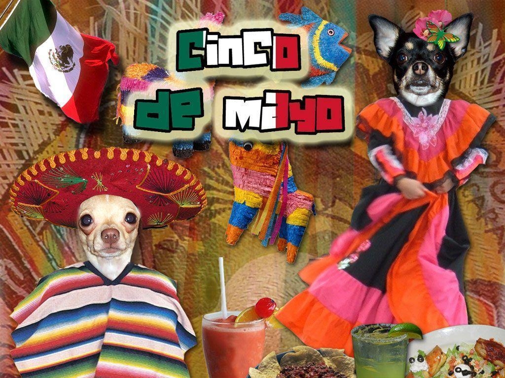 1030x770 For Cinco De Mayo Picture, Desktop