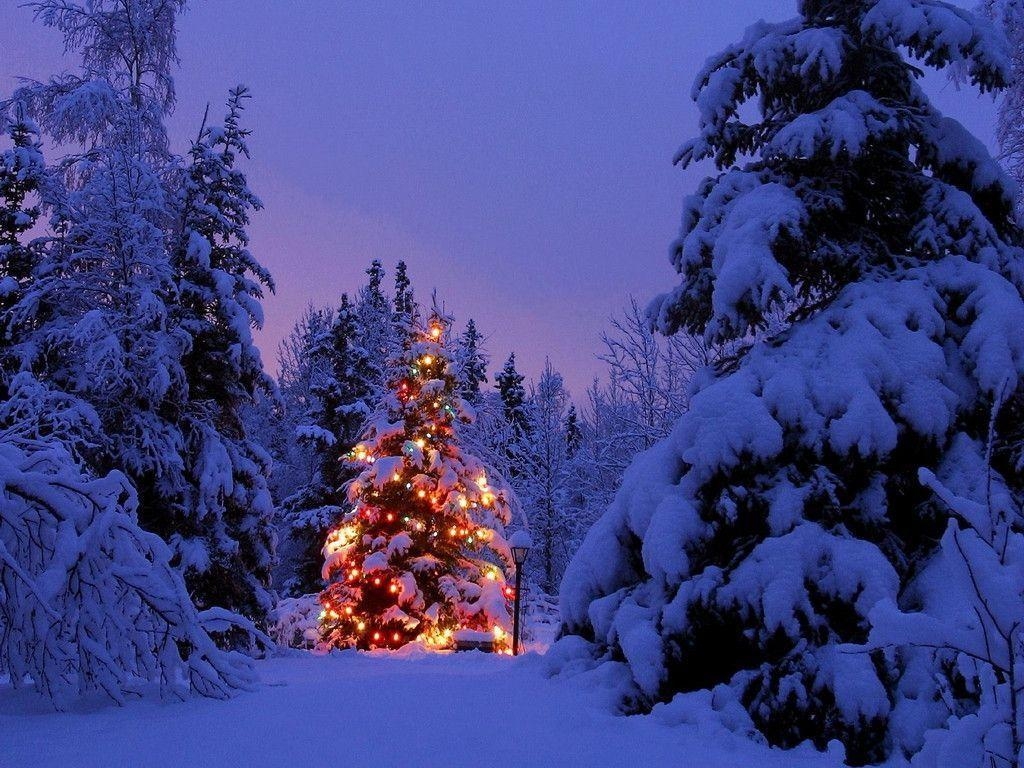 1030x770 Christmas Snow Scene Wallpaper Desktop, Desktop