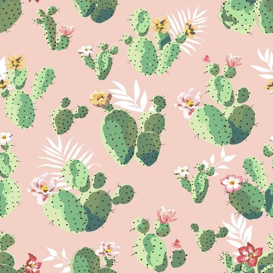 900x900 Cacti on Pink, Phone