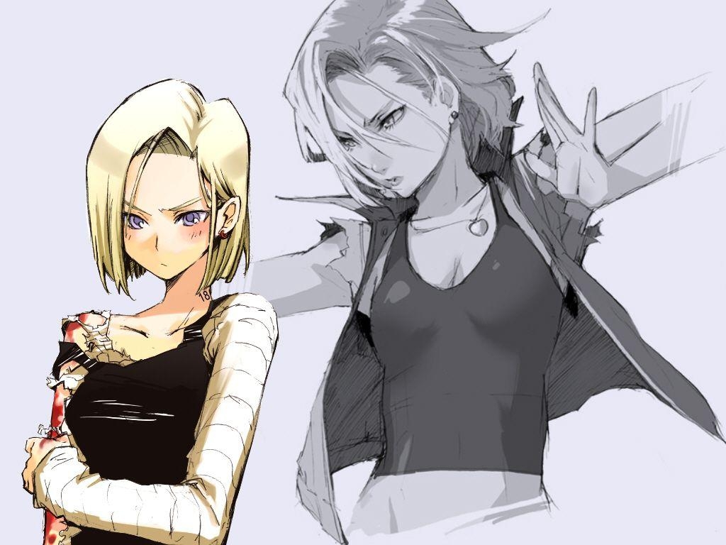 1030x770 Android 18 BALL Z Anime Image Board, Desktop