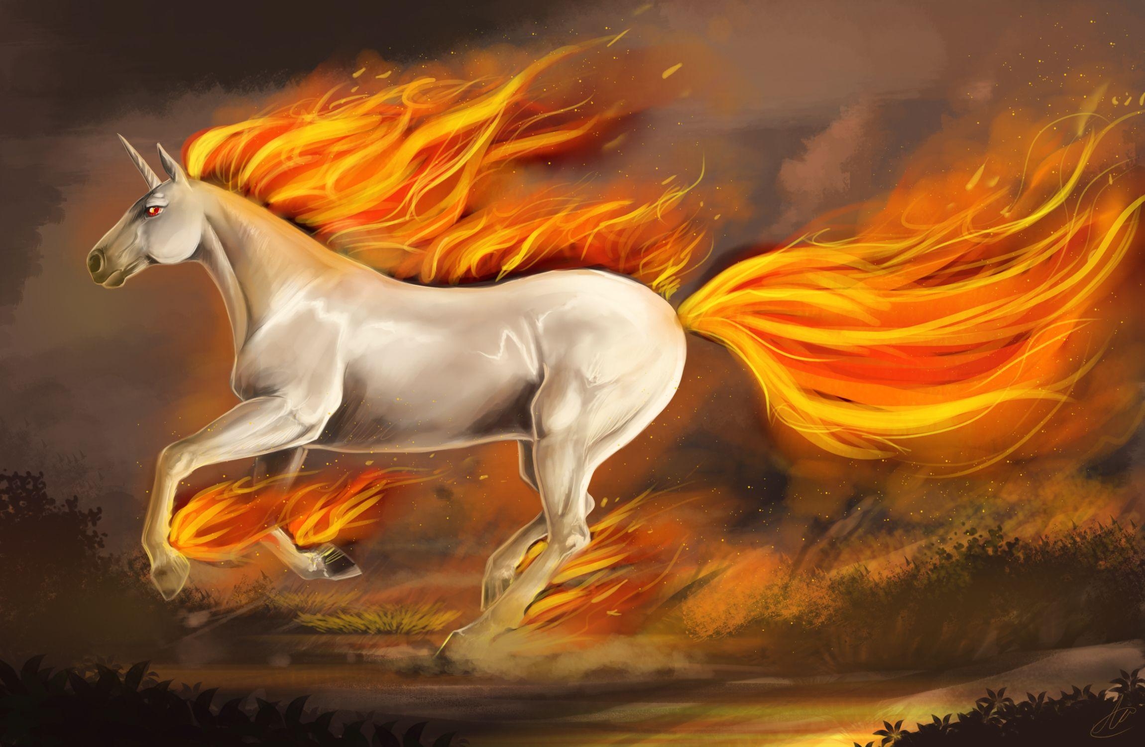 2300x1500 Unicorn wallpaper and image wallpaper picture photo. HD, Desktop