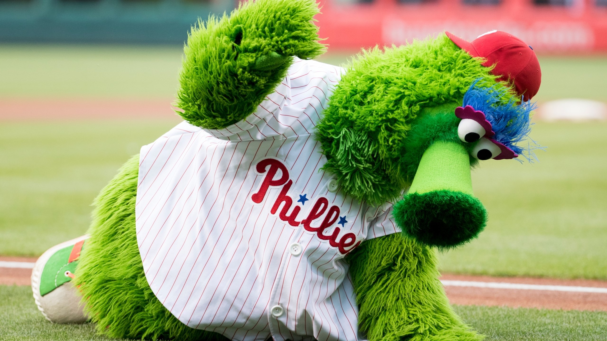 2560x1440 Phanatic is back! Original Phils mascot can stay in Philly, Desktop