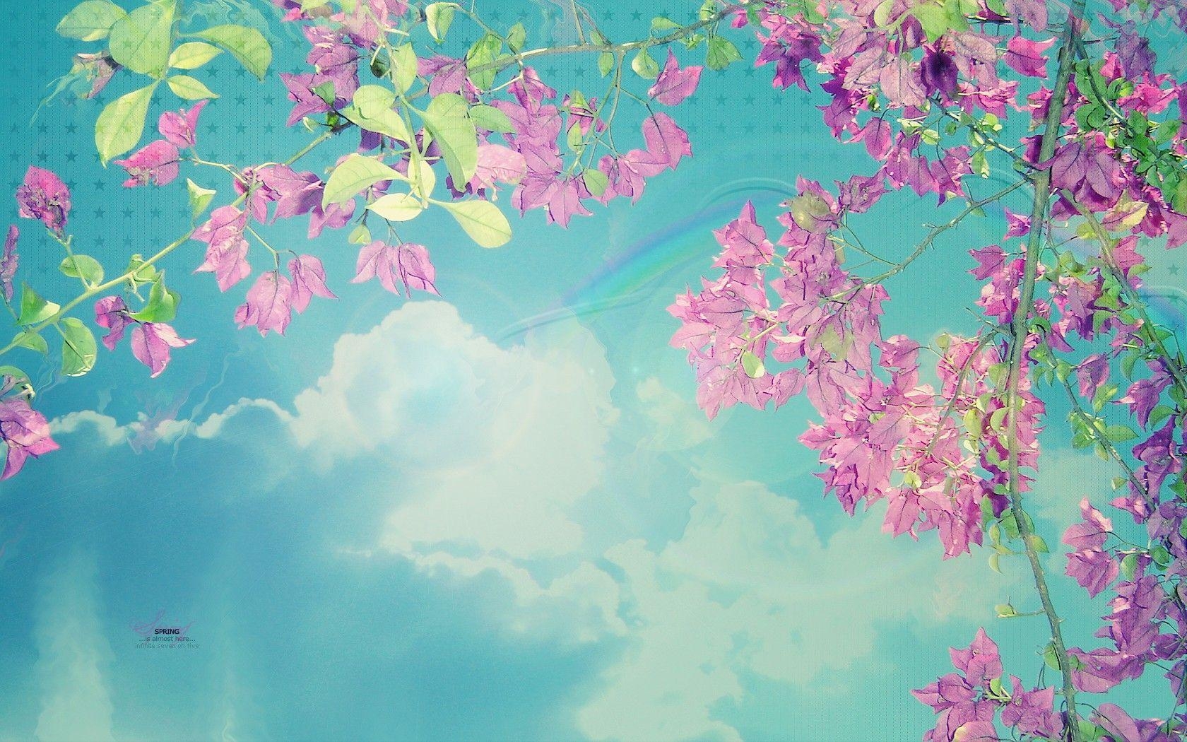 1680x1050 Download the Spring Pink Blue Skies Wallpaper, Spring Pink Blue, Desktop