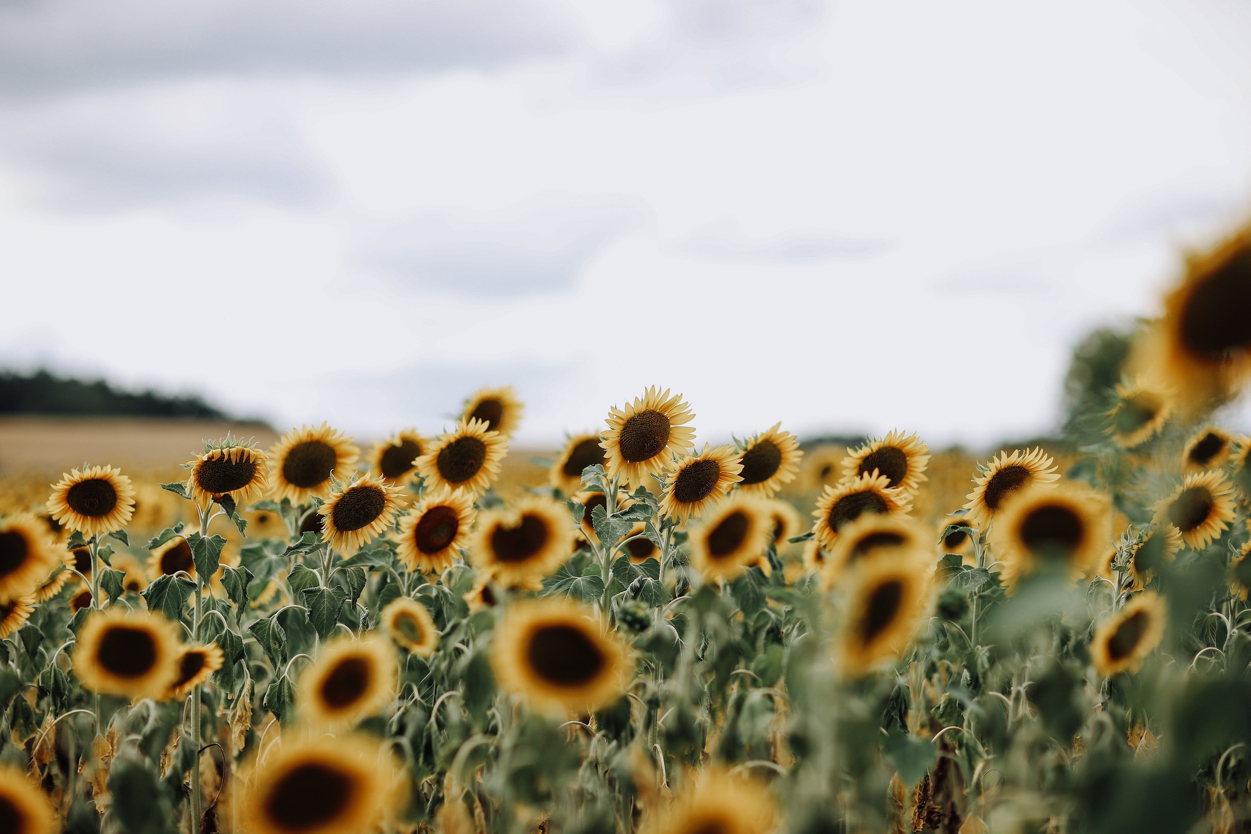 4200x2800 Franconia 4K wallpaper for your desktop or mobile screen free and easy to download, Desktop