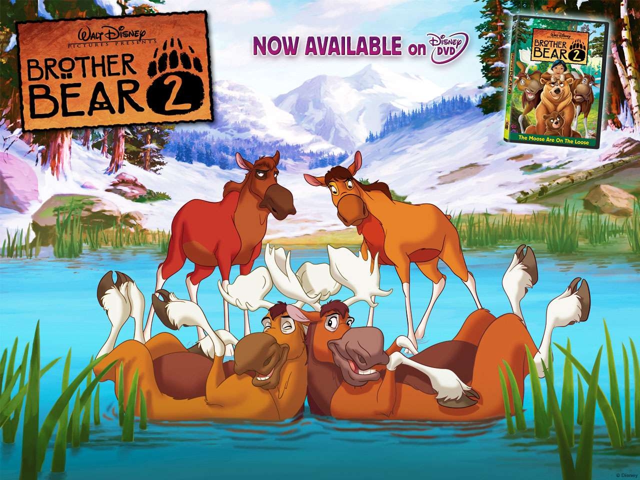 1280x960 Movie Brother Bear 2 wallpaper (Desktop, Phone, Tablet), Desktop