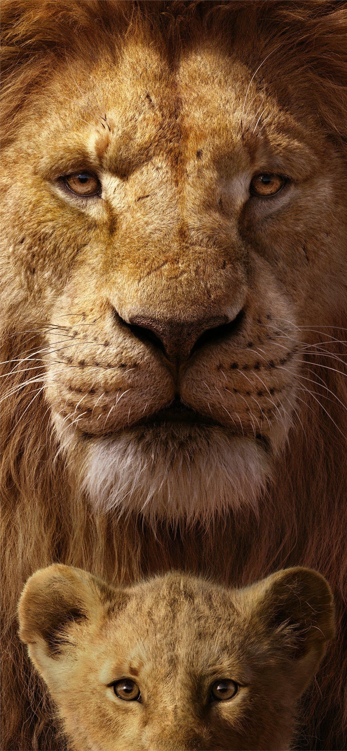 1130x2440 Simba iPhone 11 HD Wallpaper.ilikewallpaper.net, Phone