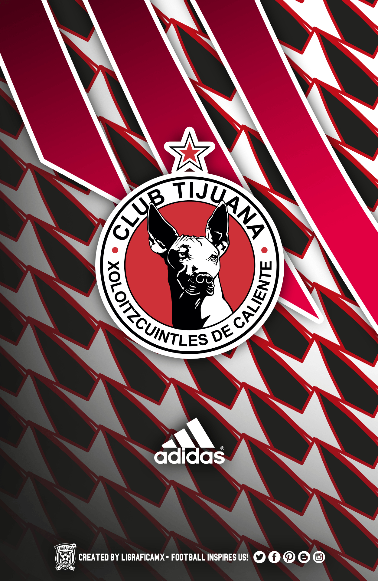 1250x1920 Xolos wallpaper, Phone