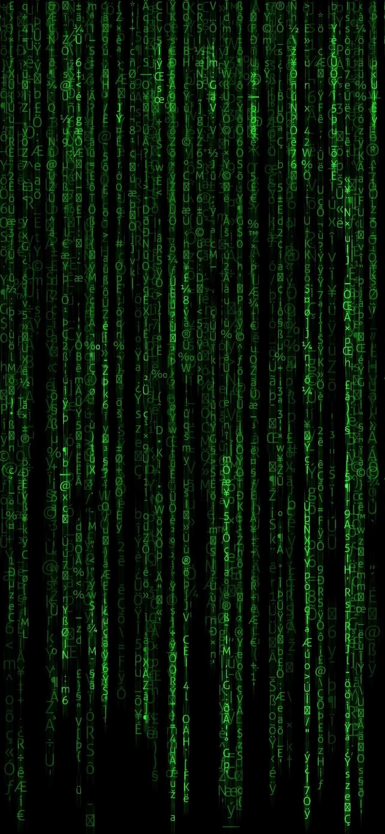 1290x2780 Matrix 4K Wallpaper, Program, Falling, Data illustration, Green Code, Black background, Hacker, Technology, Phone