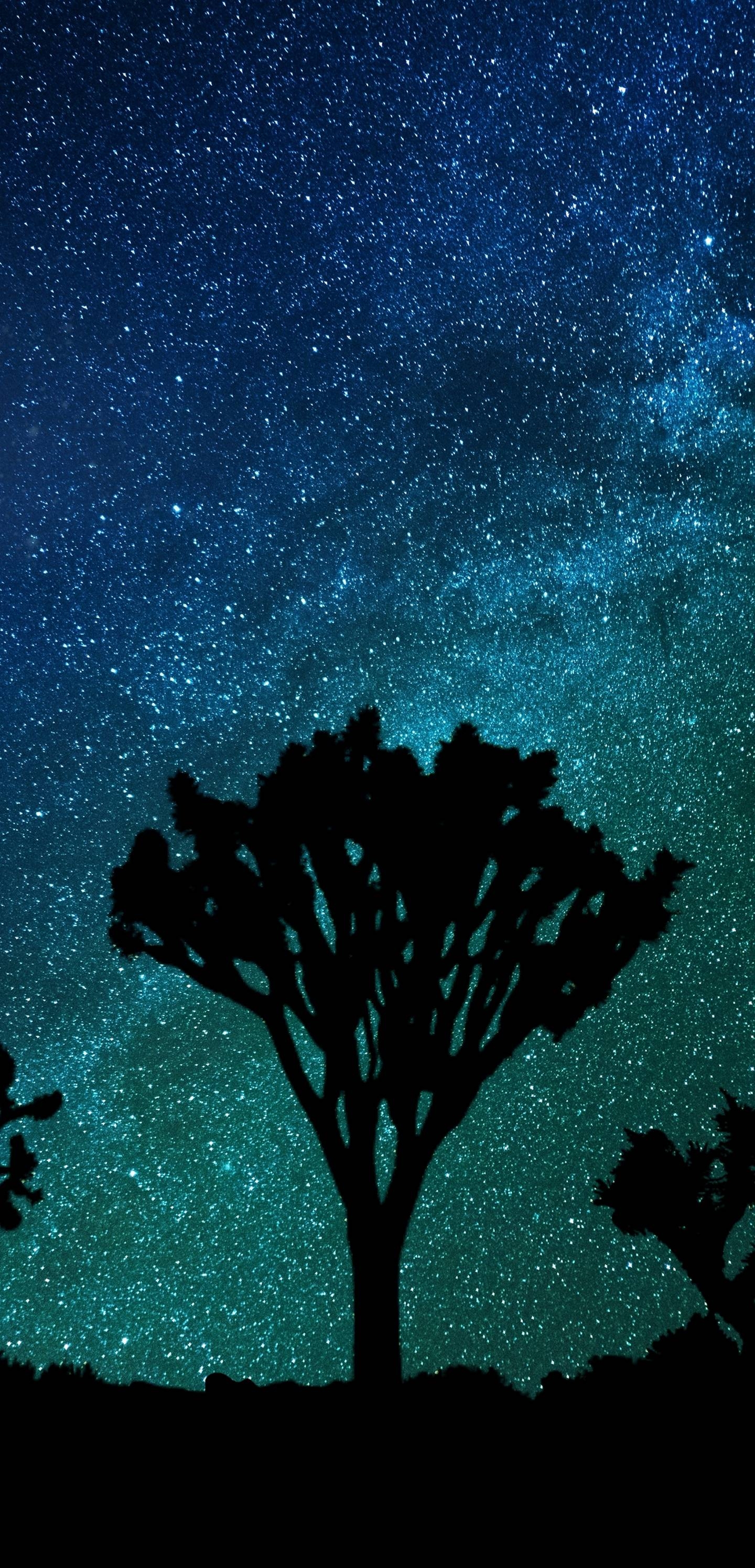 1440x3000 Wallpaper, Phone