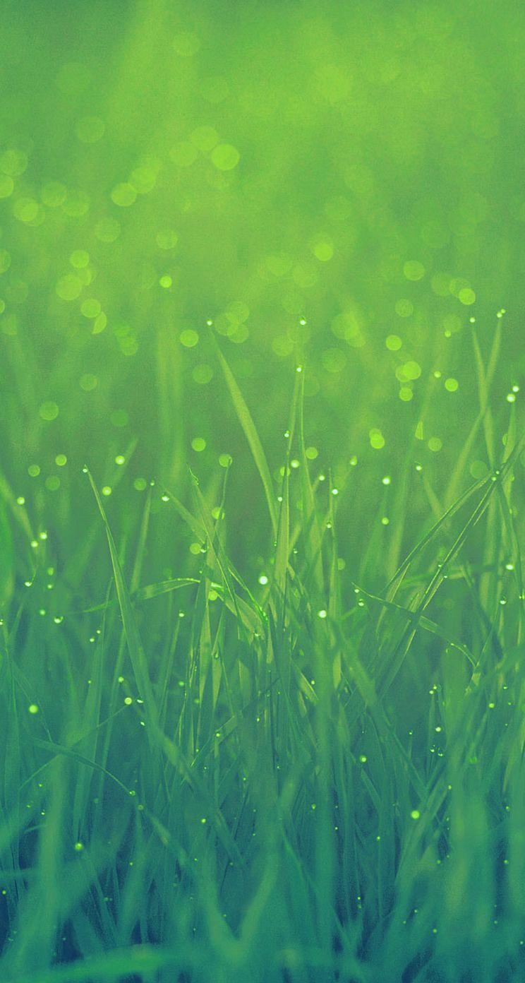 750x1400 Grass Wallpaper iPhone, Phone