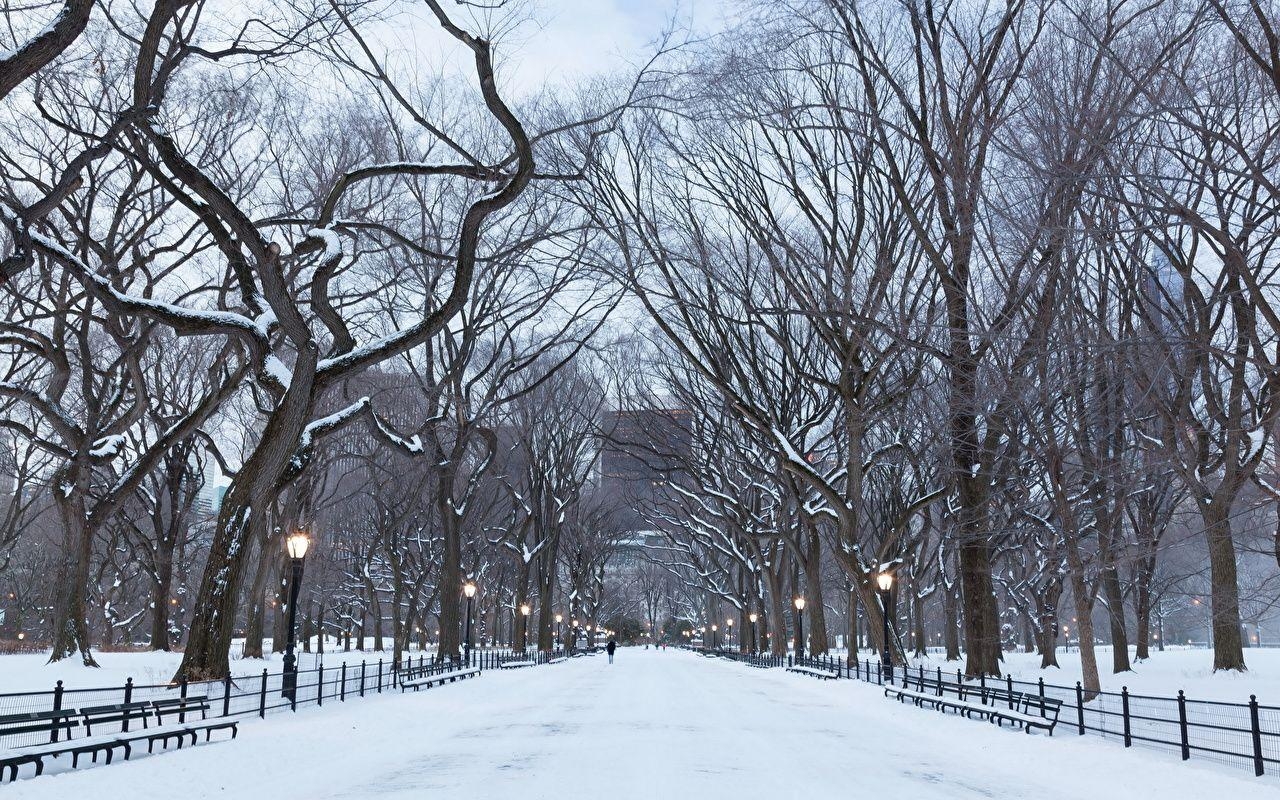 1280x800 Wallpaper New York City USA manhattan central park Allee Winter, Desktop