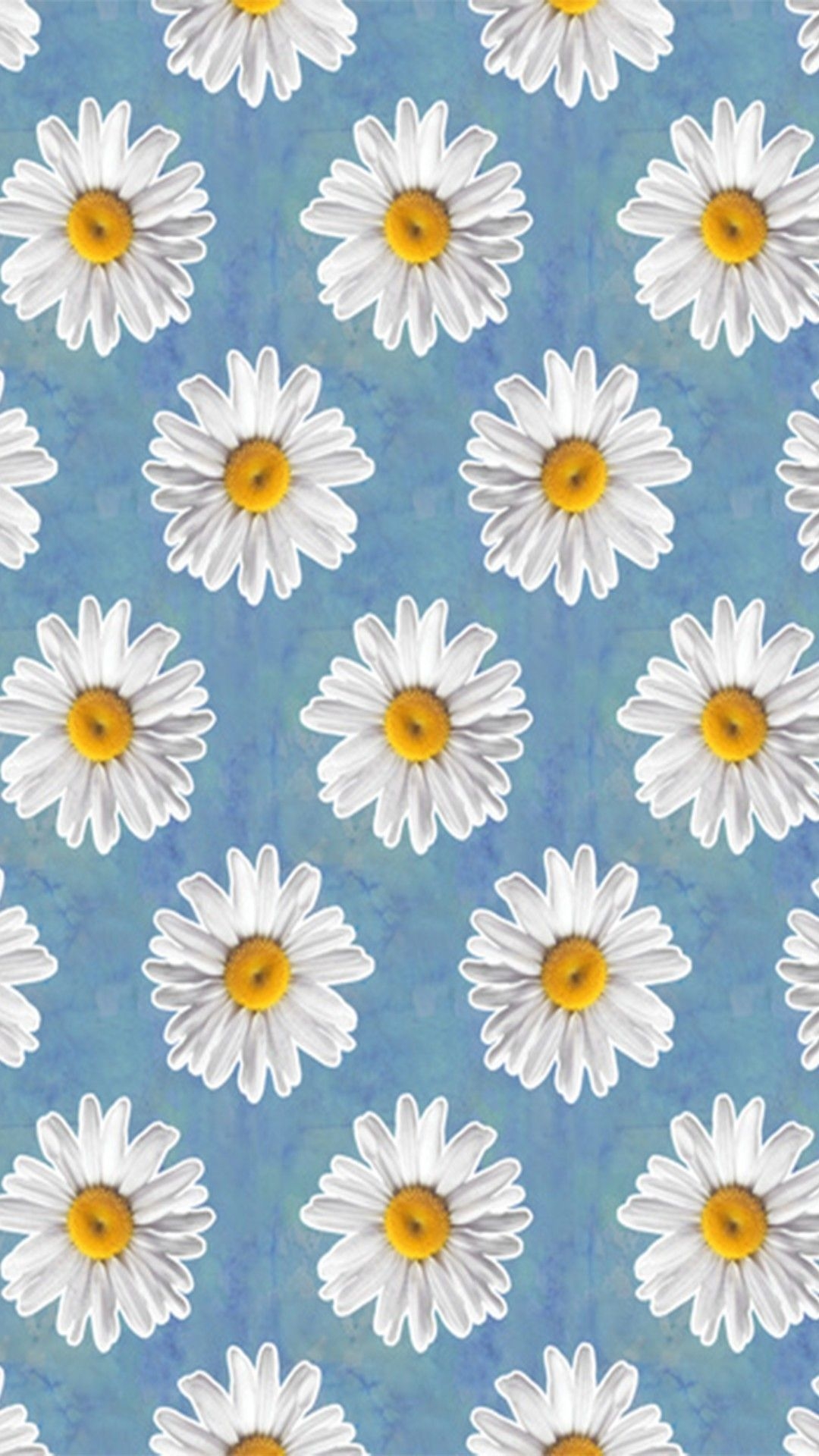 1080x1920 Daisy Background, Phone