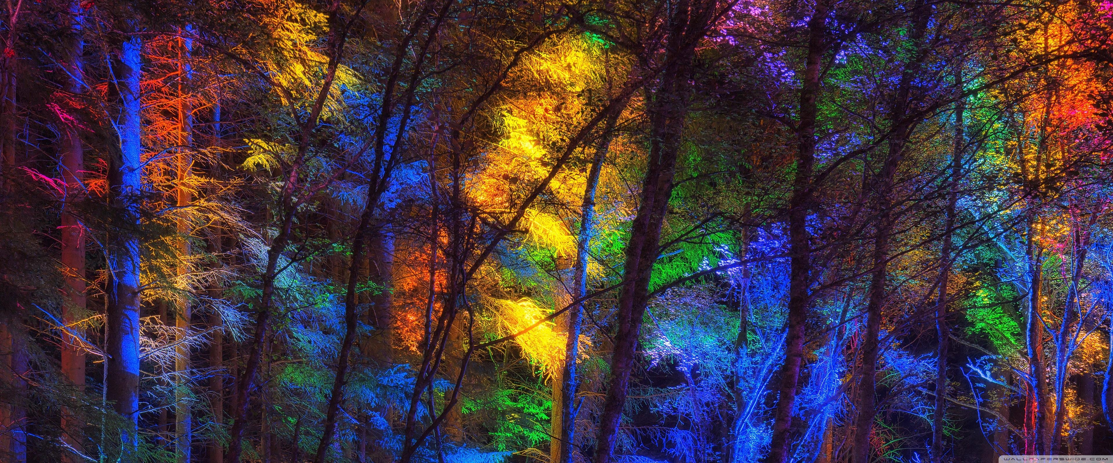 3840x1600 Colorful Forest ❤ 4K HD Desktop Wallpaper for 4K Ultra HD TV • Wide, Dual Screen