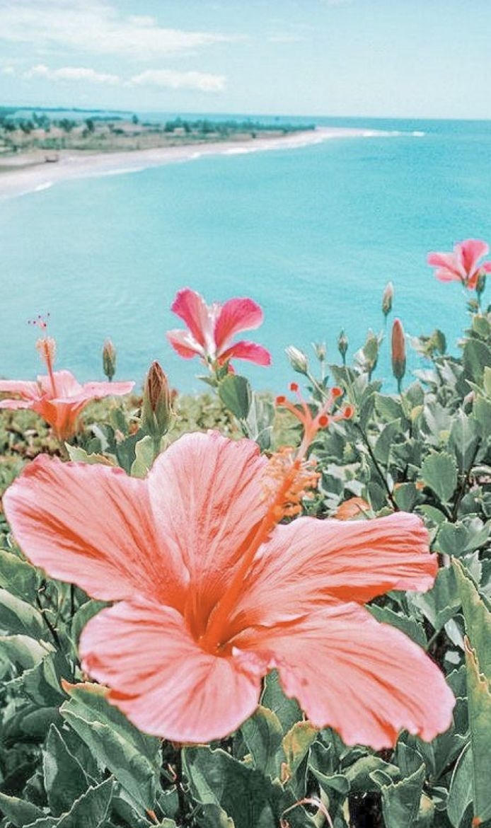 700x1170 pretty flower. Beach wall collage, Preppy wallpaper, Hibiscus flower wallpaper aesthetic, Phone