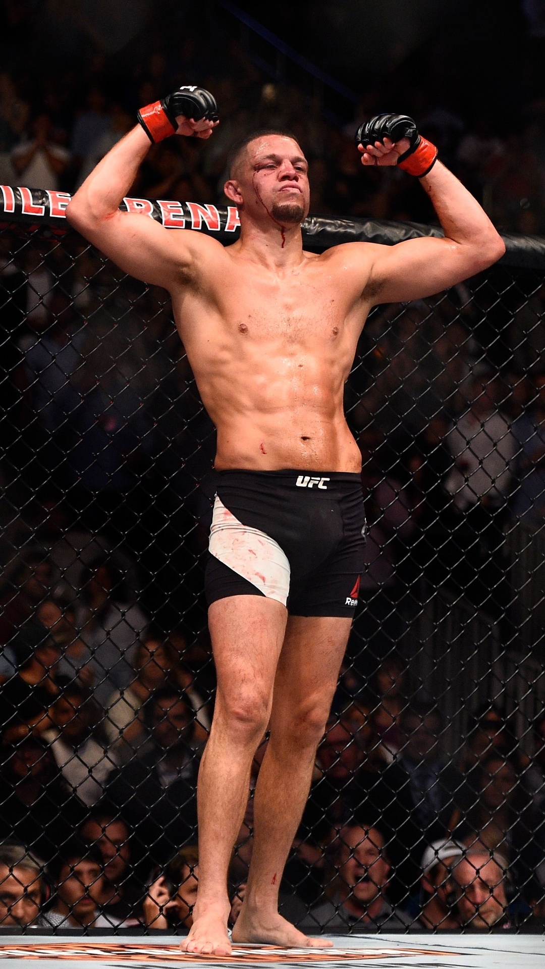 1080x1920 Best Nate Diaz Wallpaper [ HQ ], Phone