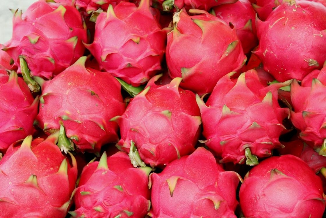 1130x750 Dragon Fruit For Health, Desktop