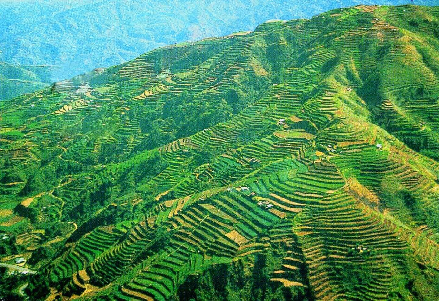 1440x990 banaue rice terraces, Philippines. Mahal kong Pilipinas. Banaue, Desktop